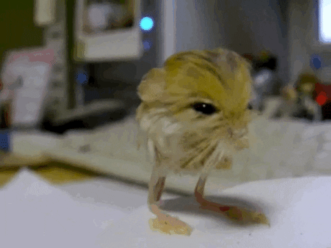 Ничего не знаю, я умываю руки! 