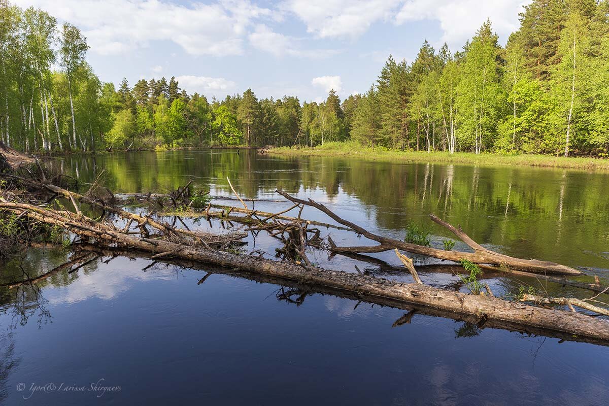 Новая мещера