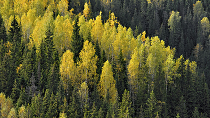 KONSTANTIN KOKOSHKIN/RUSSIAN LOOK/GLOBALLOOKPRESS