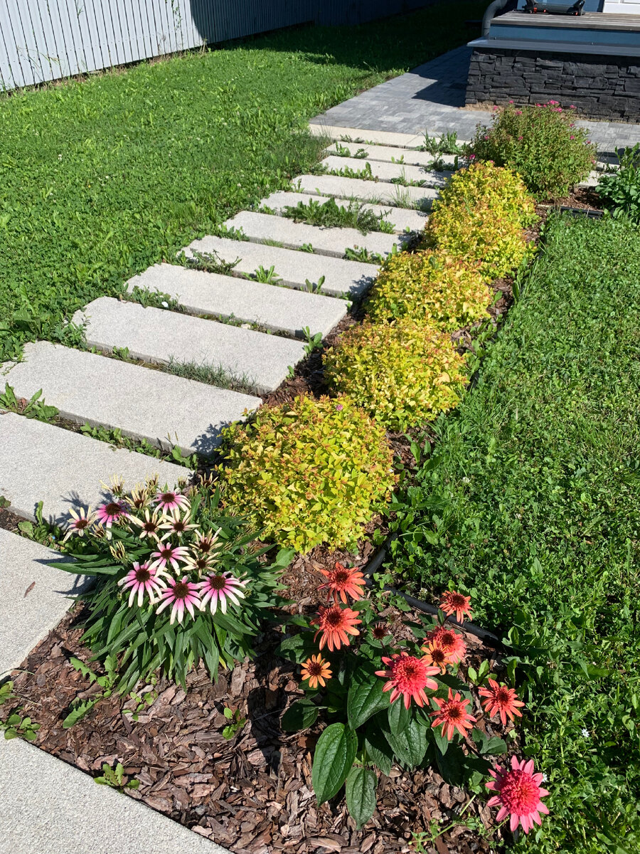 Прошлогодняя посадка