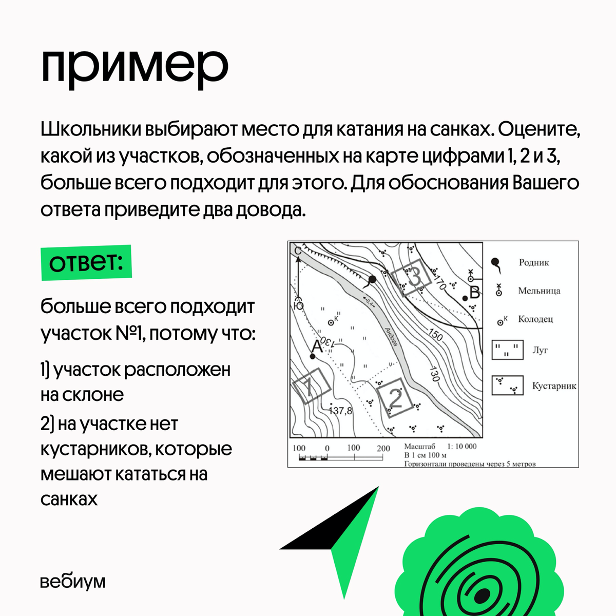 Какой предмет на ОГЭ выбрать? Гид по школьным дисциплинам для родителей.  Часть 1 | Онлайн-школа Вебиум I ЕГЭ | Дзен