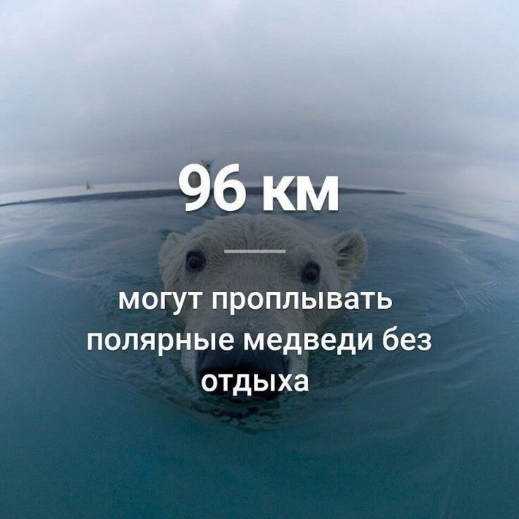 интересные научные факты. ранформные факты картинка. удивительные научные факты. рандомные интересные факты. рандомные интересные факты.