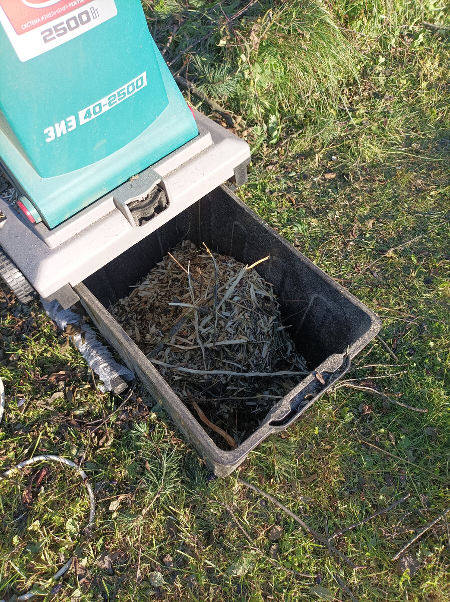 Весь мир в труху? Зубр не справился! | Усадебка | Дзен