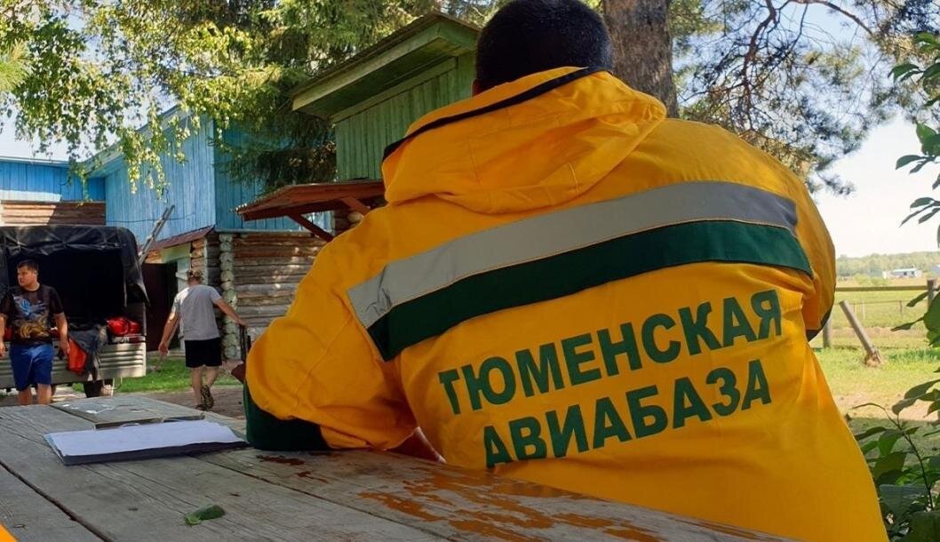 Фото: департамент лесного комплекса Тюменской области