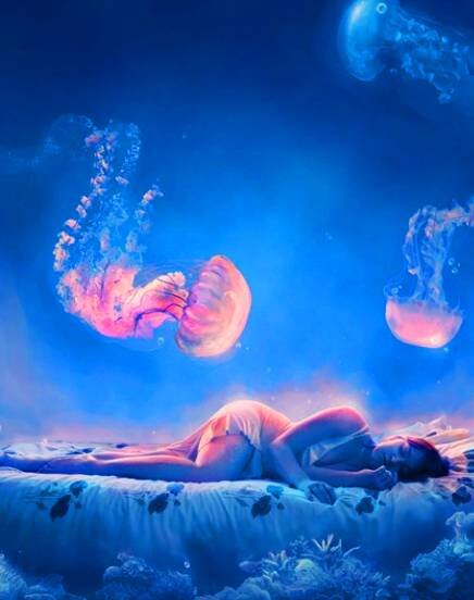 Сонник Хассе