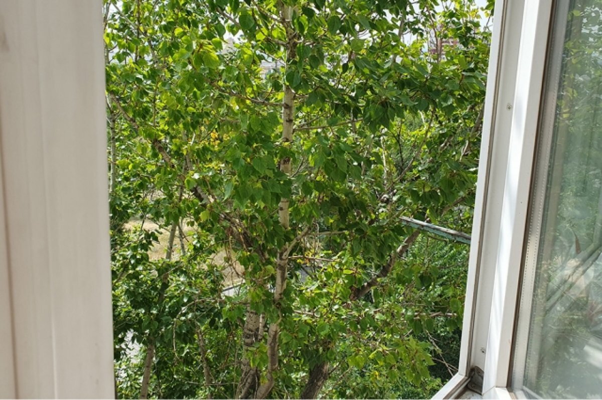    3-летний мальчик выпал из окна пятого этажа в Иркутске