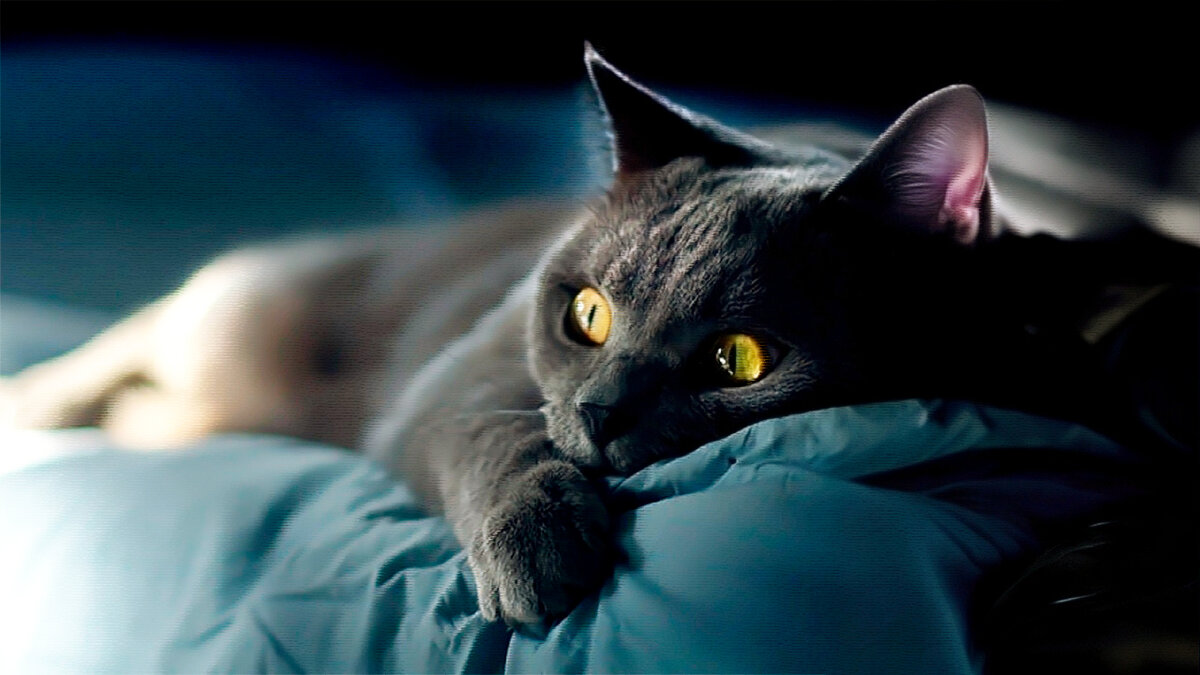 источник фото: i01.fotocdn.net