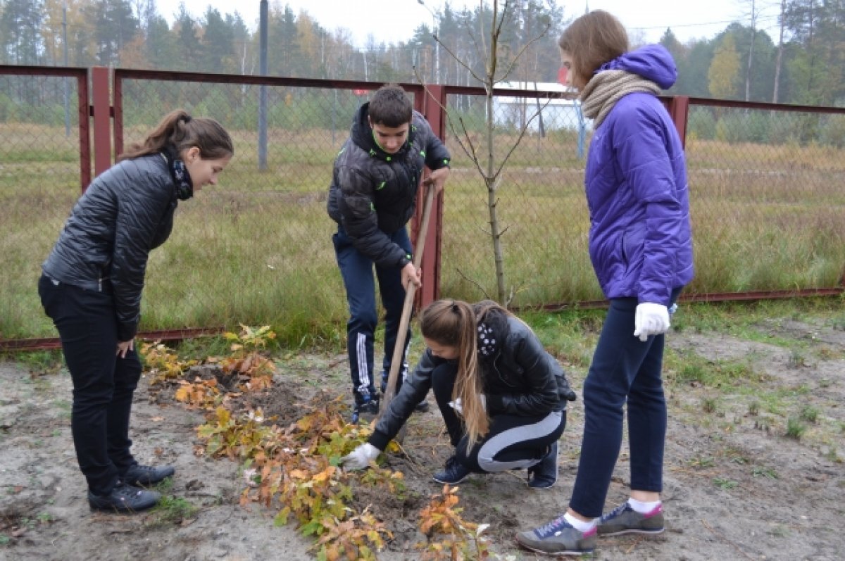    8,8 млн выделили на реализацию экологических проектов в Татарстане