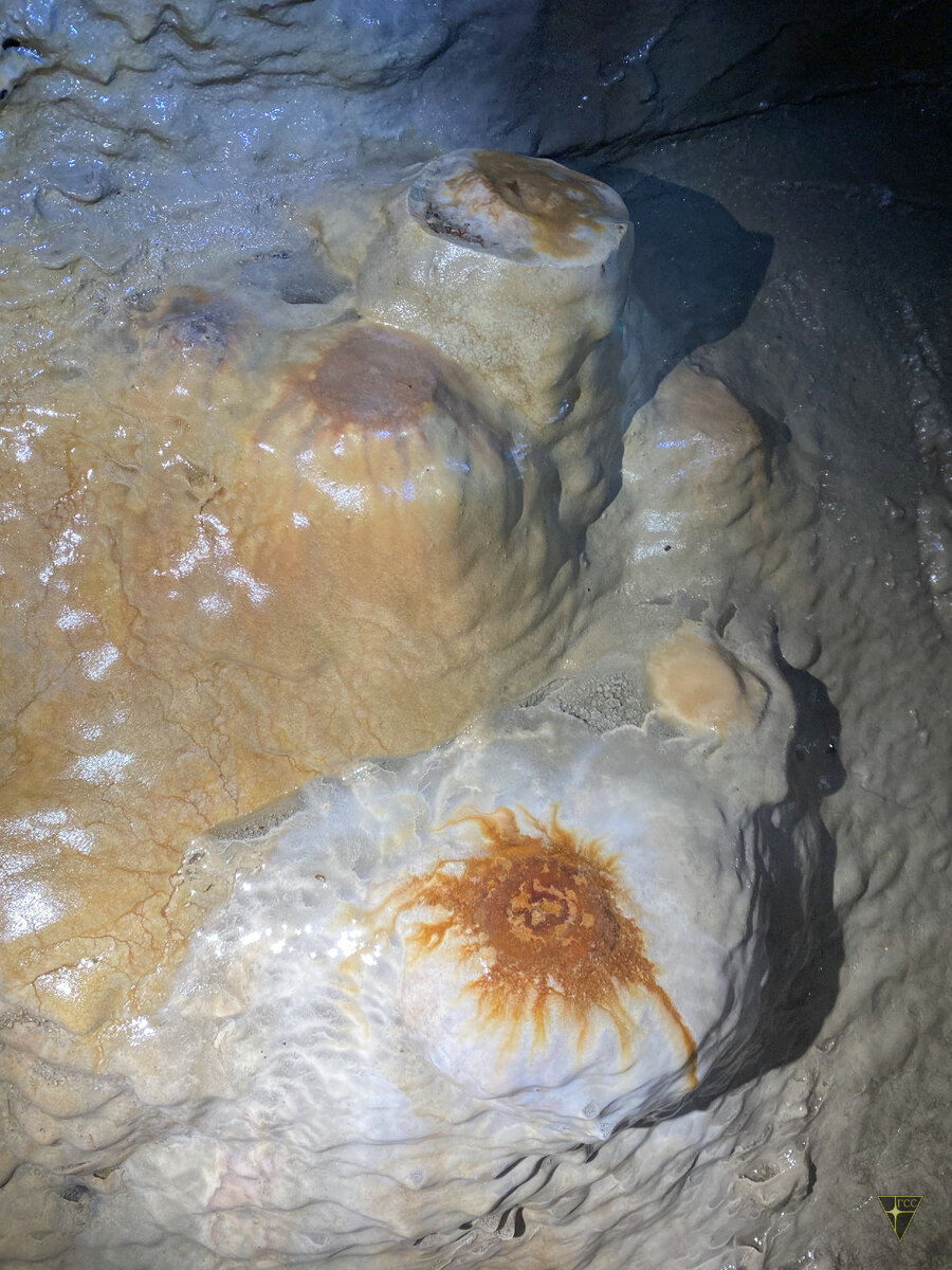 После Чуры мы ощутили, что есть ещё порох в пороховницах и ягоды в ягодицах. И отчего бы не посетить коллектор некоего ручья или скромной речки?-9