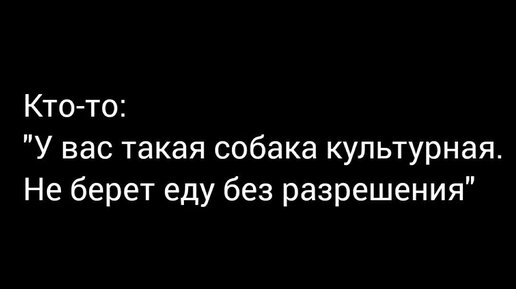 KINOLOG.PRO / Кинолог про собак | Атос такой Атос | Дзен