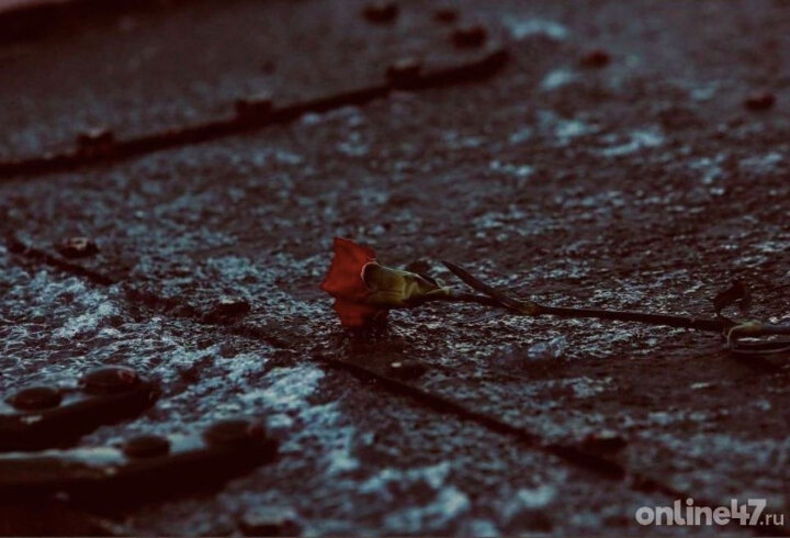 Фото: Валентин Илюшин/Online47 