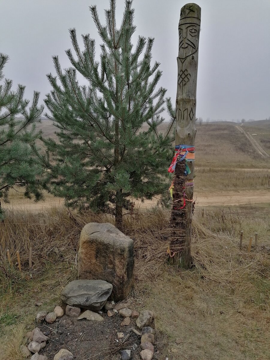    Типичное капище в поселке Колтуши Ленинградской области Фото:  АиФ