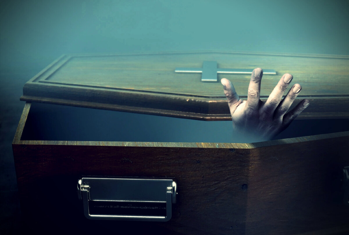 Изображение взято из интернета