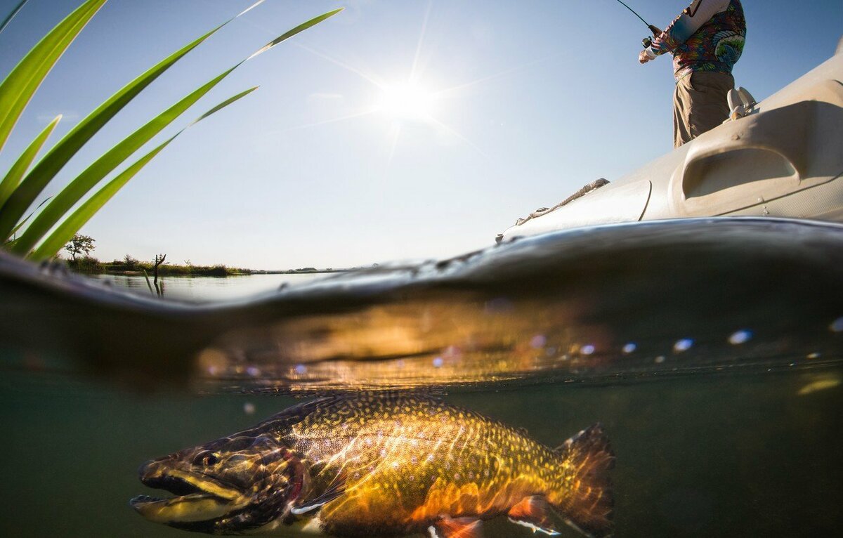 Найти рыбное место, главная задача.