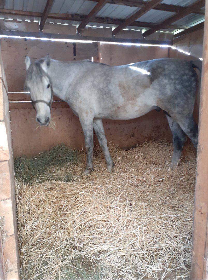 Округ в летнем домике. Личный архив