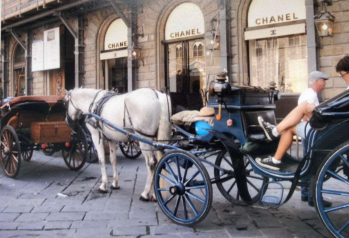 Фотография из личного архива. Сделано по дороге на мероприятие «Итальянская ночь». Не ожидала увидеть упряжки с лошадьми на улицах Флоренции. Снимок не передает, но навозом отдавало знатно. Желающих, приобщиться к роскошной жизни, от этого не становится меньше. 