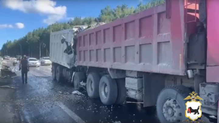 Фото: Госавтоинспекция Иркутской области 