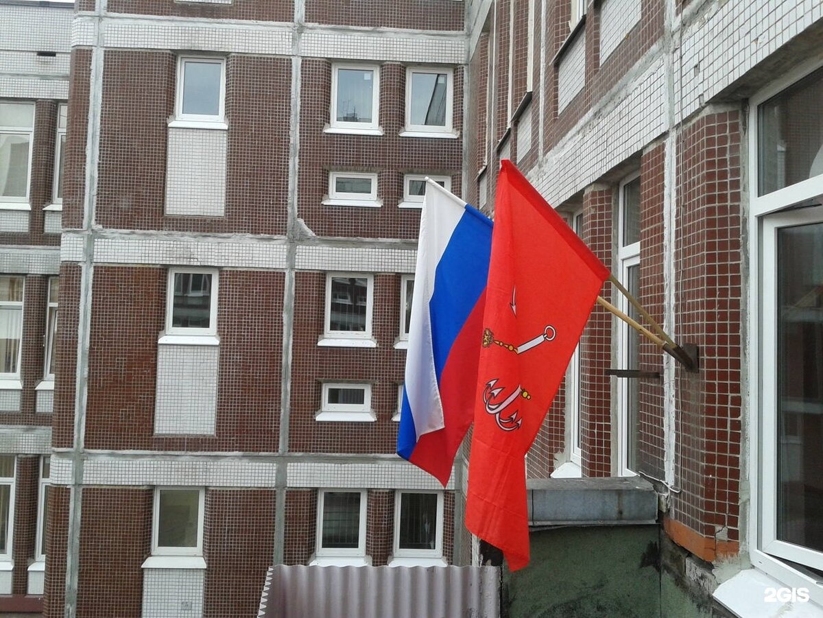 Канцтовары в СПБ на vunderkind-spb.ru