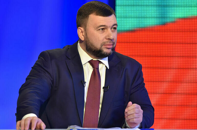   denis-pushilin.ru