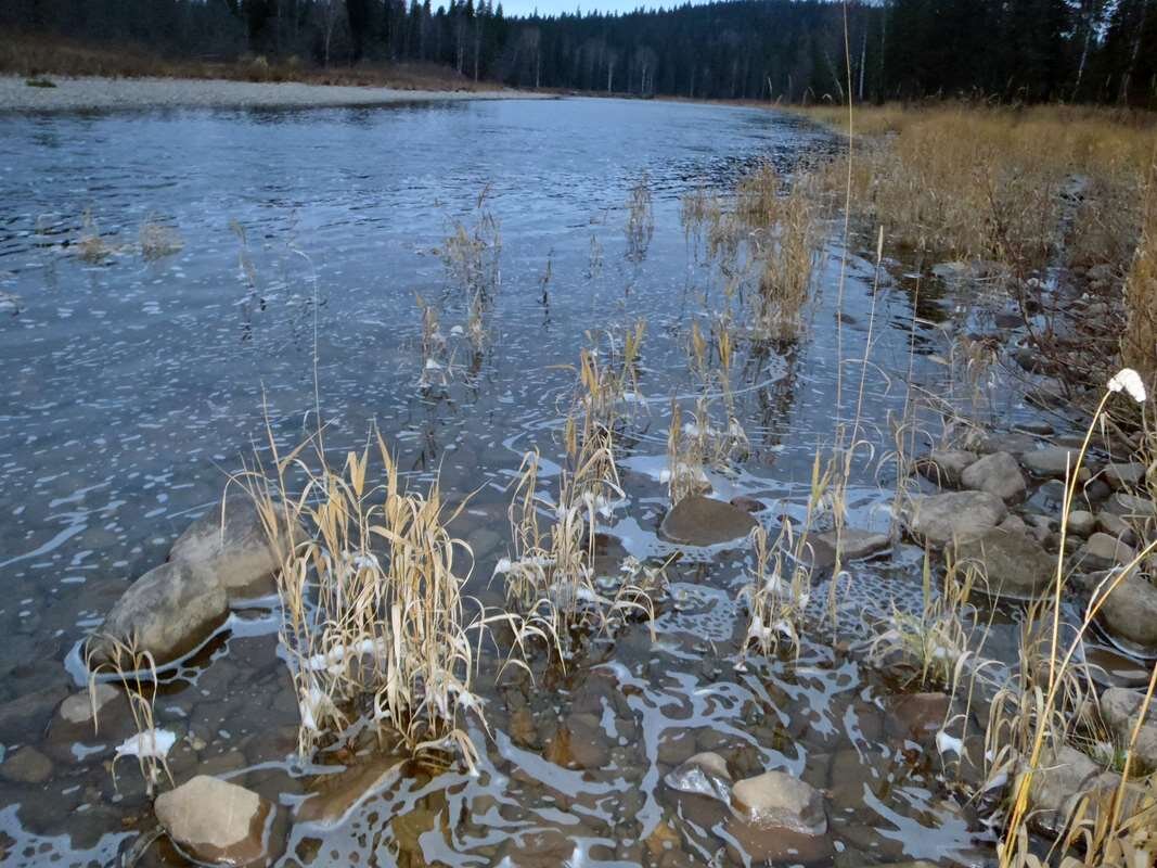 Вода камень точит | Уральский следопыт 🌲uralstalker | Дзен