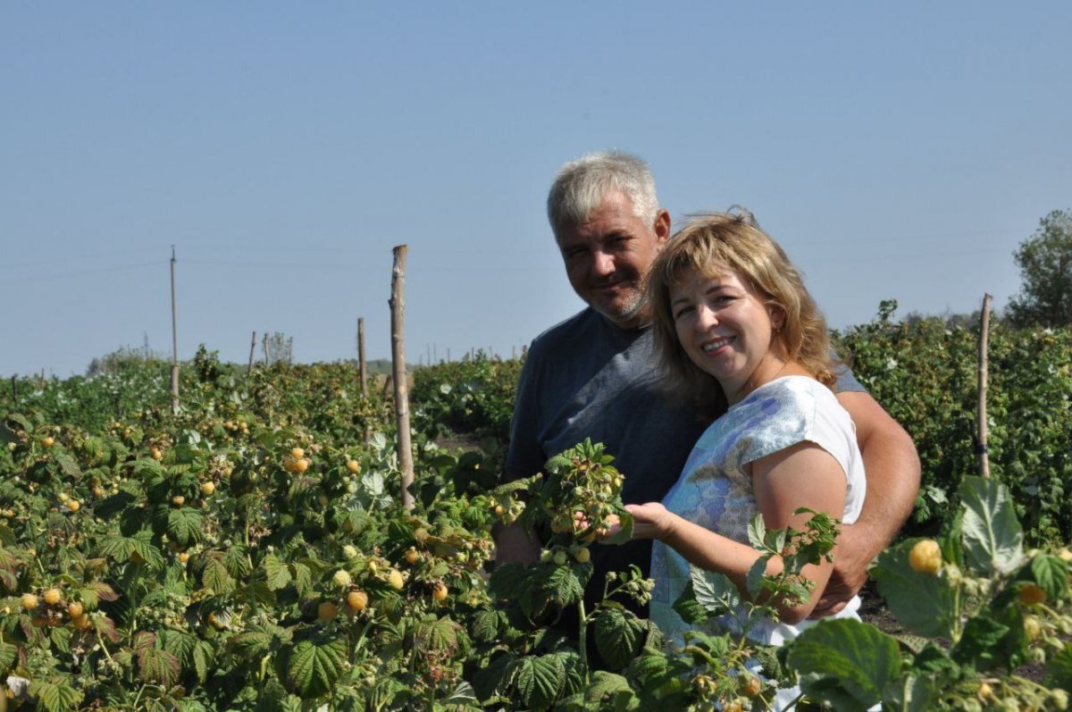    Замкнутый цикл.