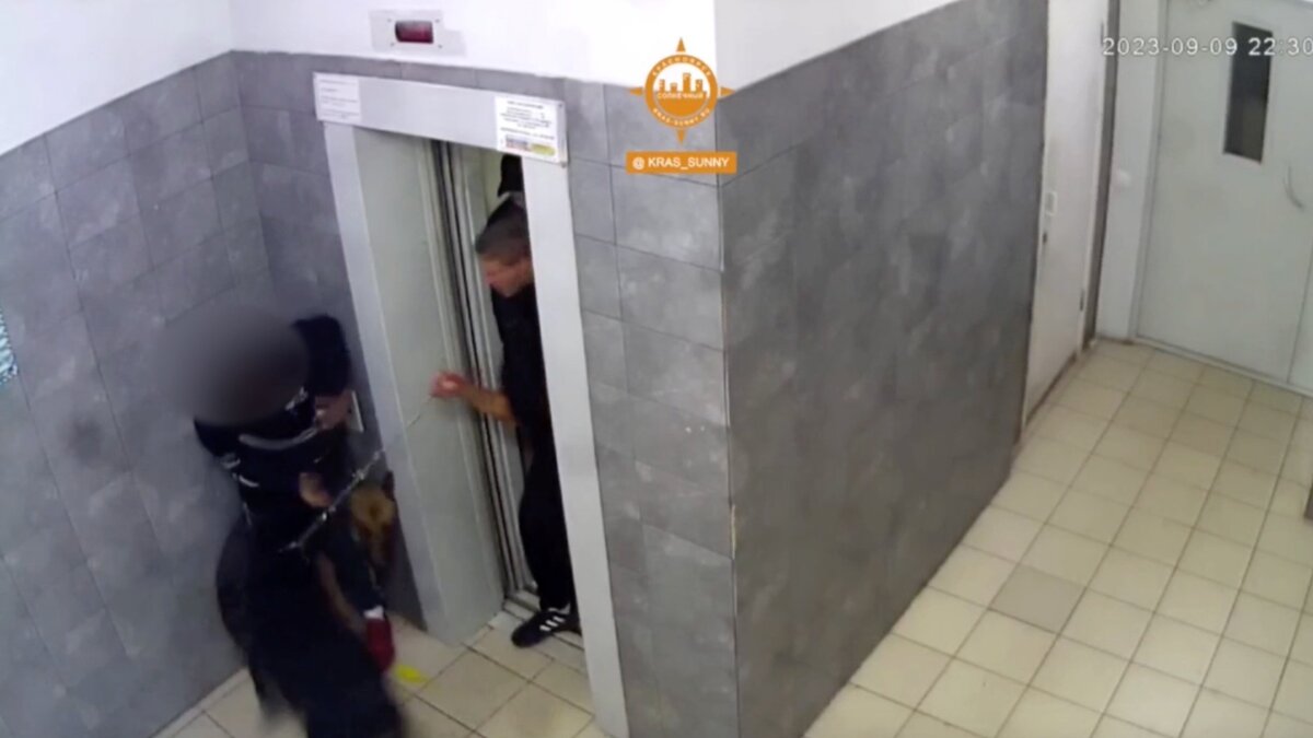     В Красноярске в подъезде одного из домов собака напала на подростка.