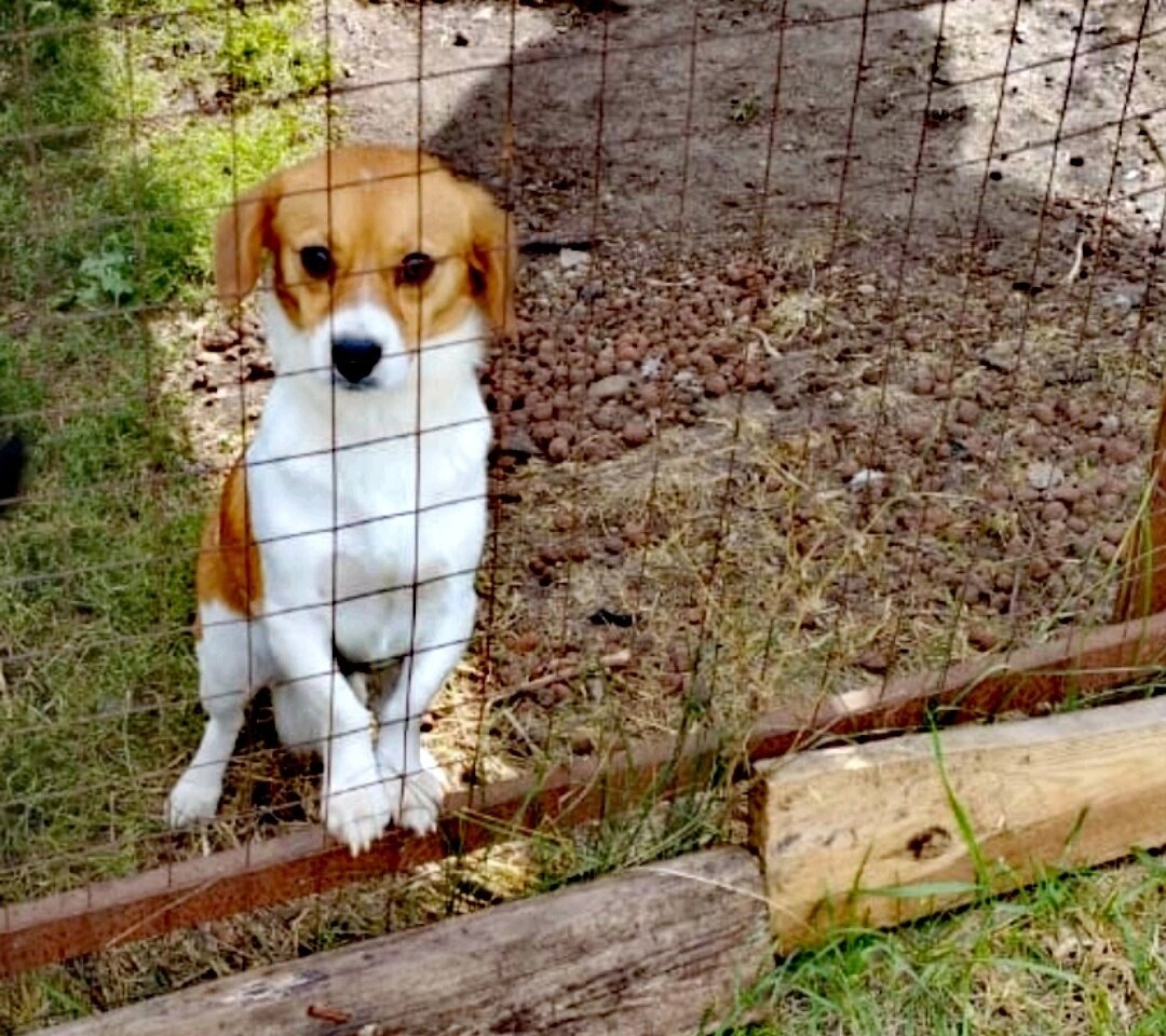 Осталась одна сестричка