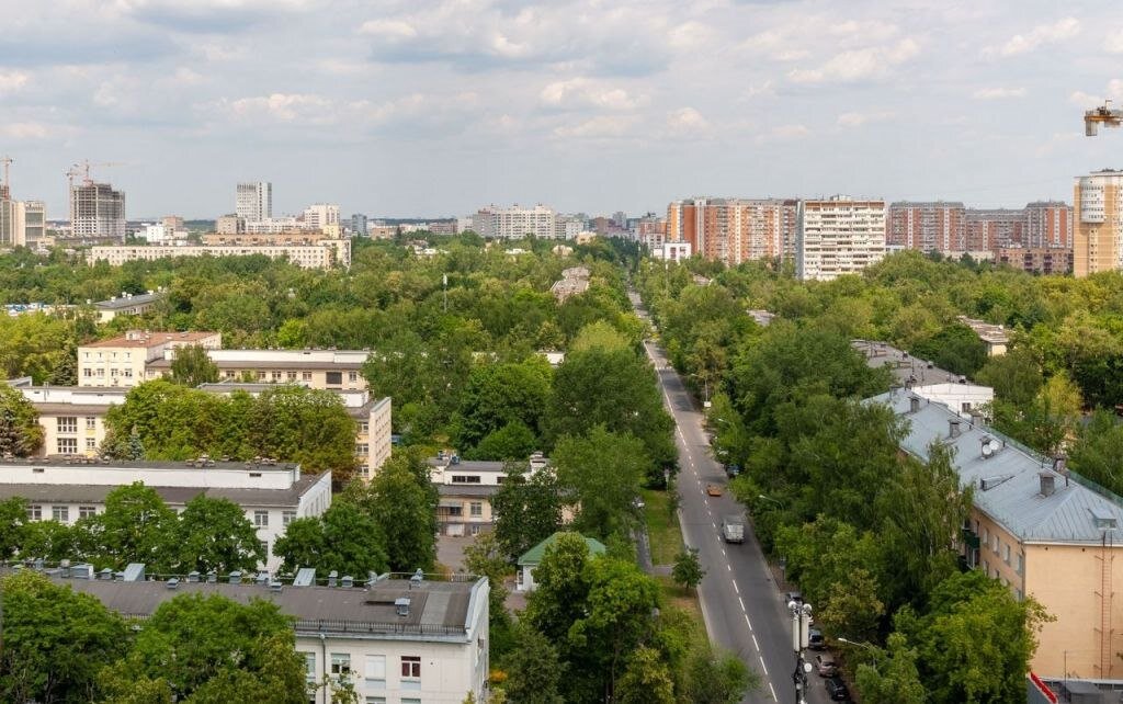 Все Измайлово утопает в зелени. Фото: nyafoto.ru