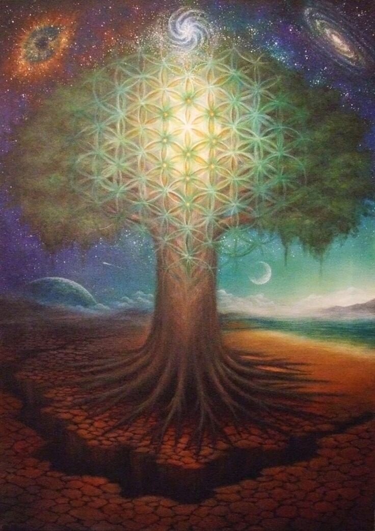 Оздоровление кармы рода через питание