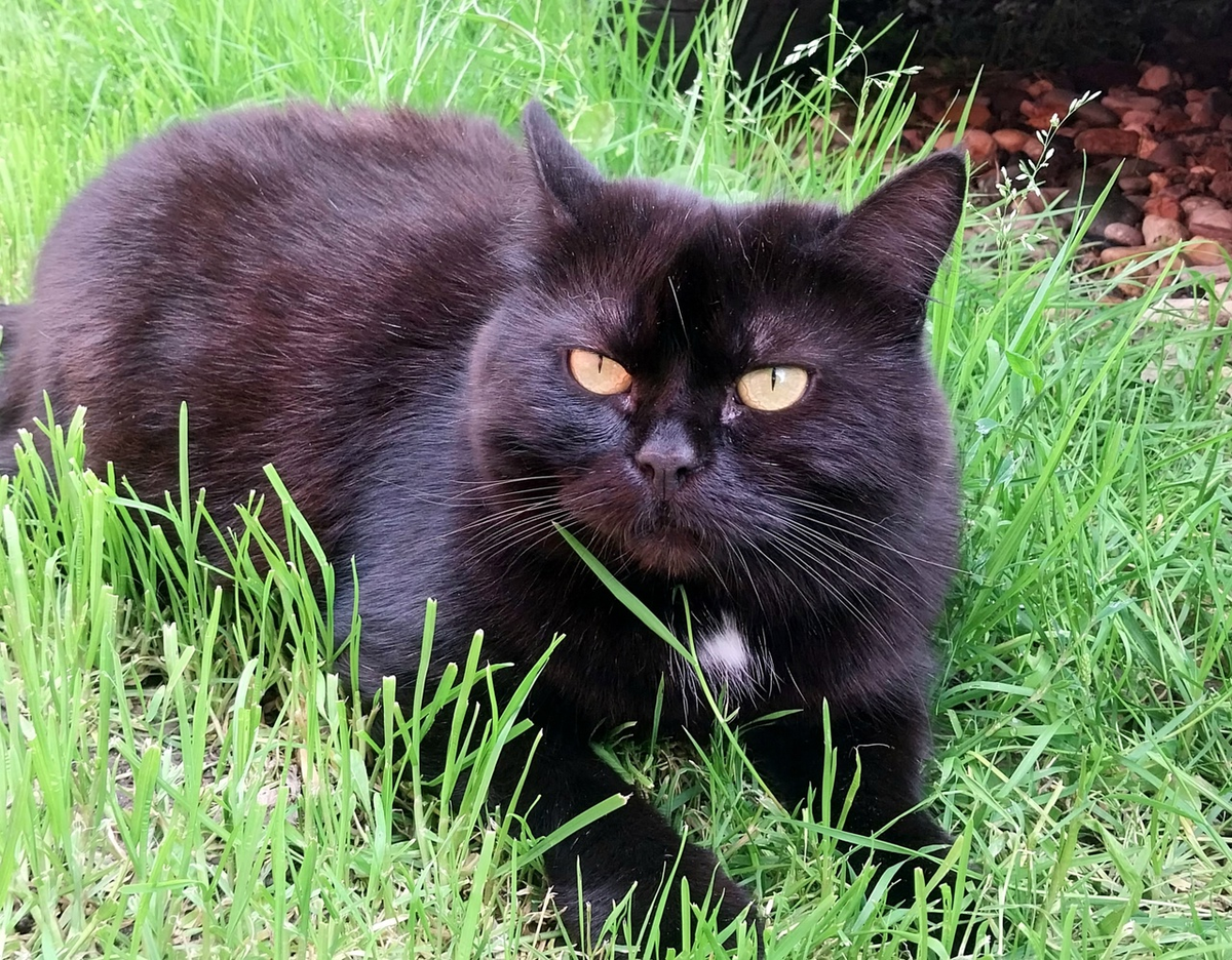 Фото Петра Солдатова.