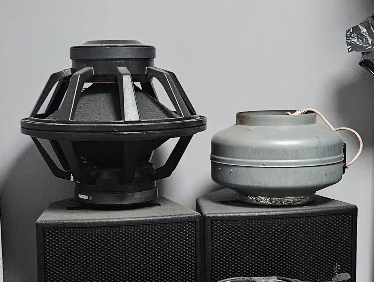 Автор фото - Кирилл Деликатный, 11 лет