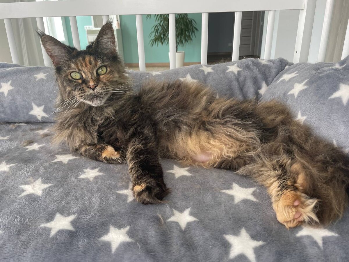 Фото из личного архива.