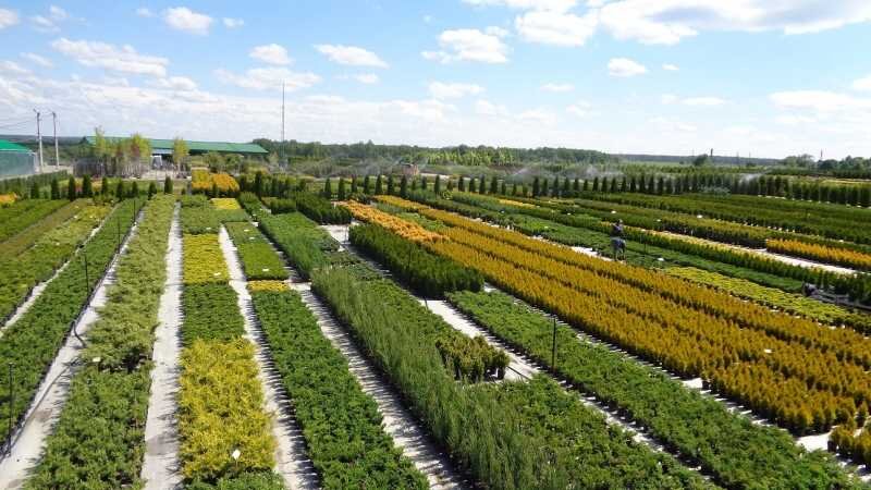 Один из наших поставщиков.