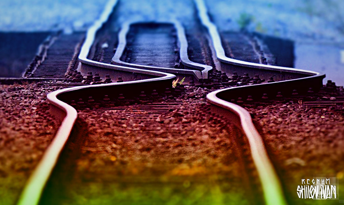    Железная дорога Иван Шилов © ИА REGNUM