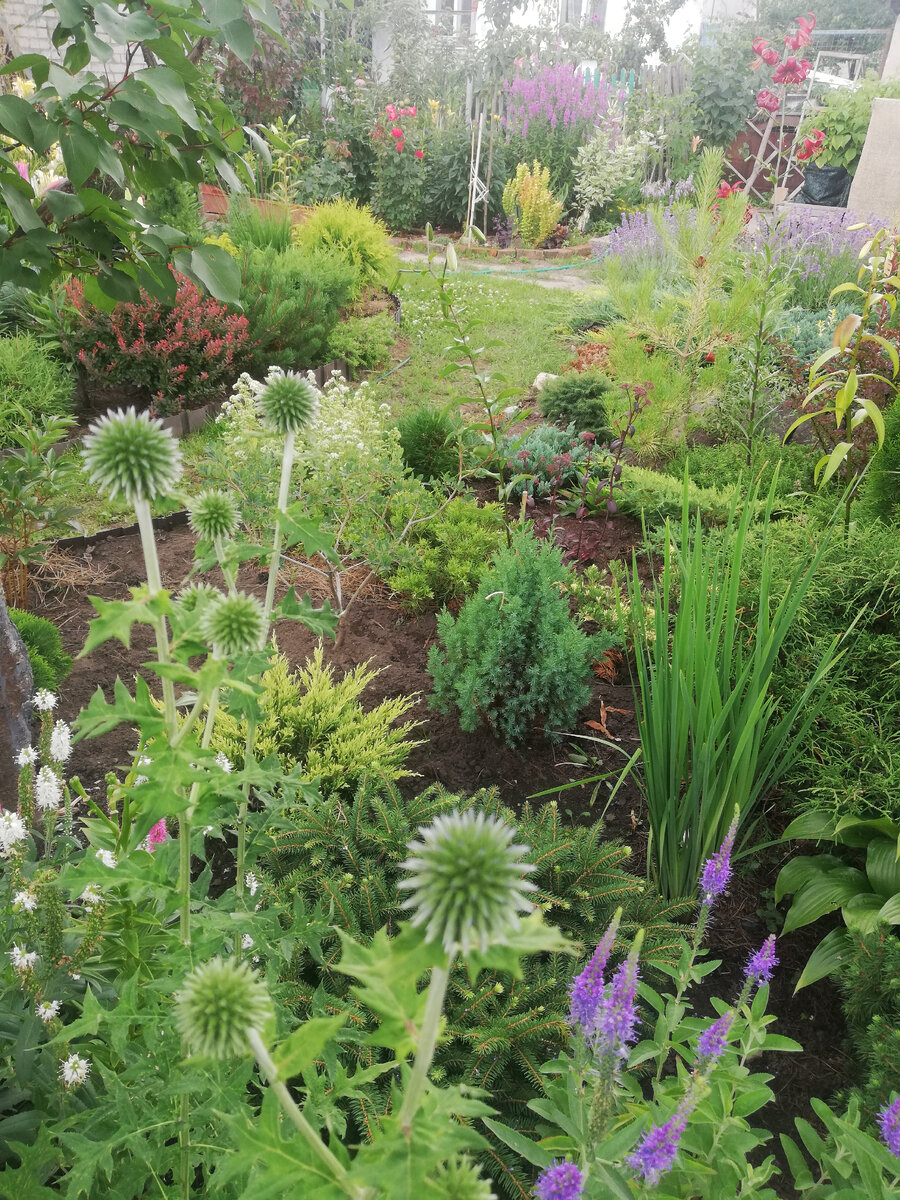 Прохладно, пасмурно и морось - идеальная погода для посадок