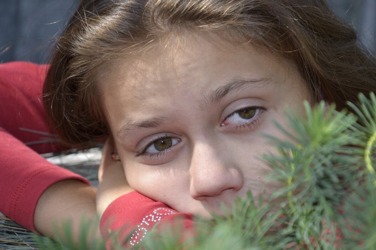 Фото с сайта pxhere.com/ru/photo/1233138