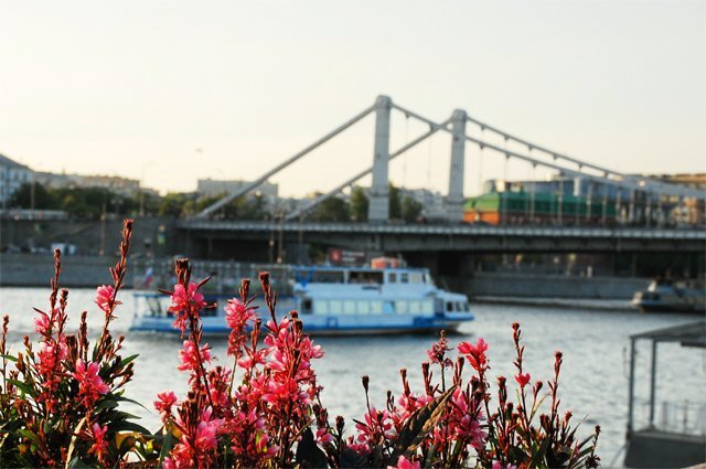    Что за гигантские летающие головы появились в центре Москвы?