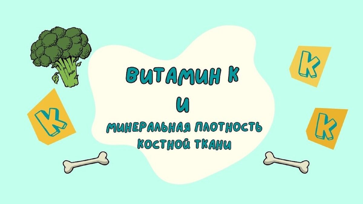 Витамин К и минеральная плотность костной ткани