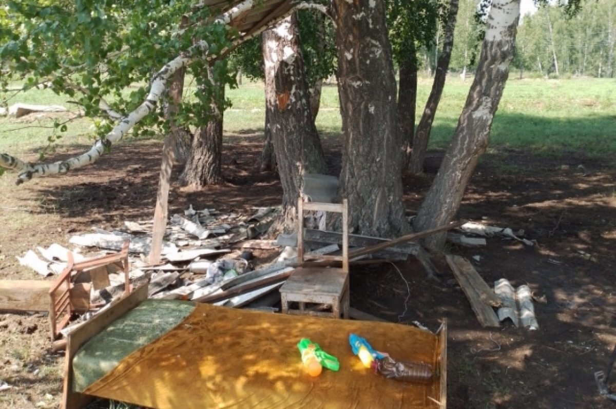    Появились фото с места, где под Новосибирском подростка убило молнией