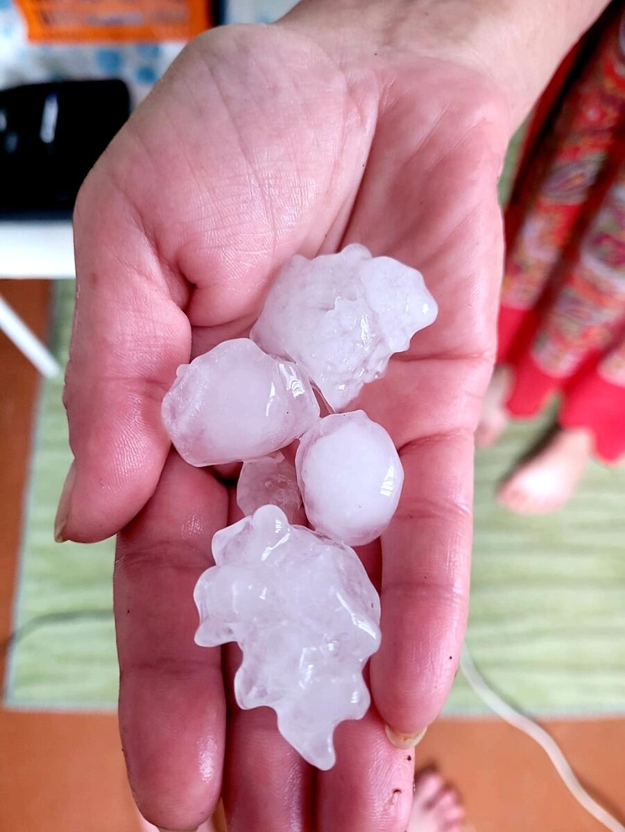 Автор фото Наталья Мазняк