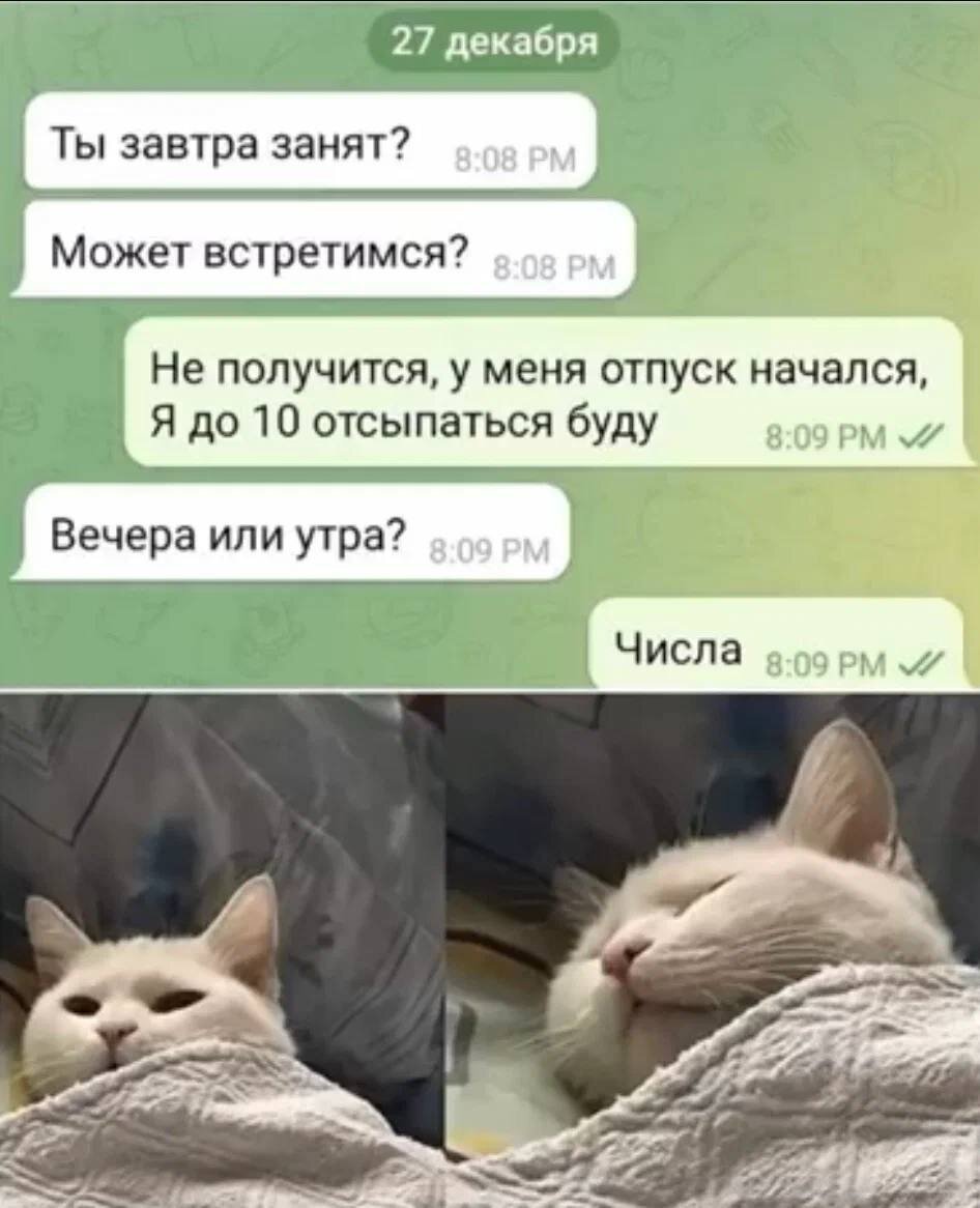 Рандомные картинки мемы