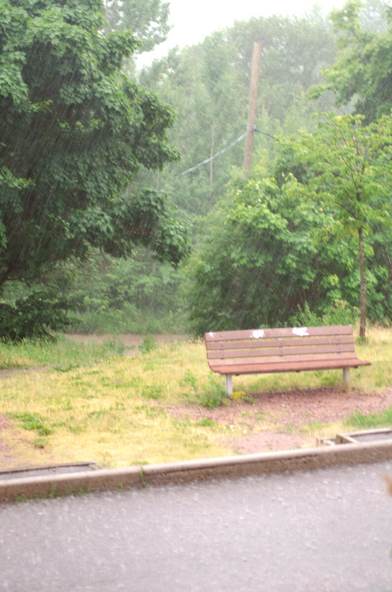 Летний ливень