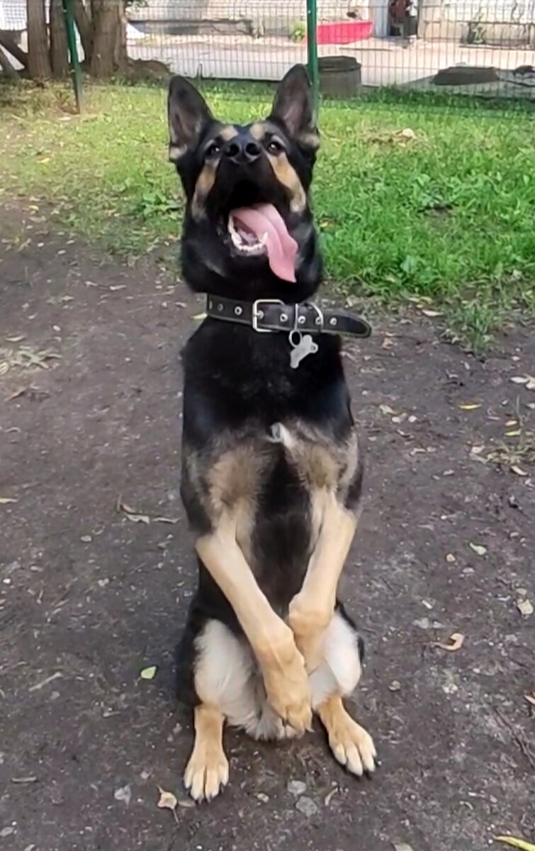 Рад служить.