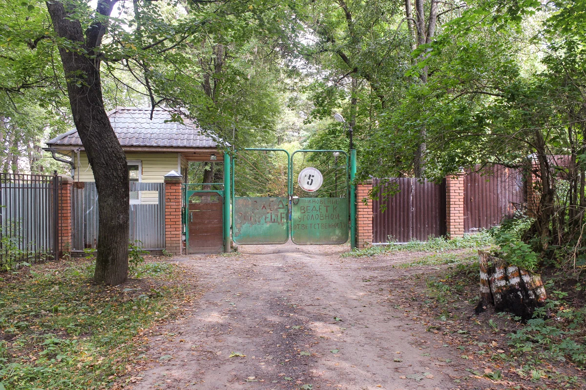 Все фотографии в статье мои