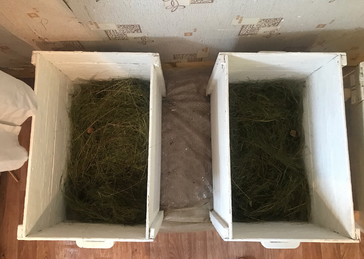 Ящики для новорождённых 