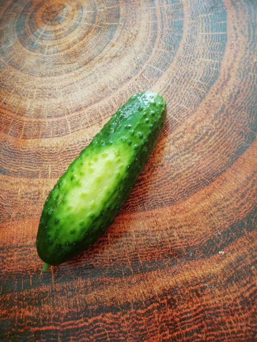 Пятно у огурца, который с одной стороны получал достаточно солнечных лучей, а другая сторона была теневой. Обратите внимание на цвет пятна. Огурец - недоспелый. 😉