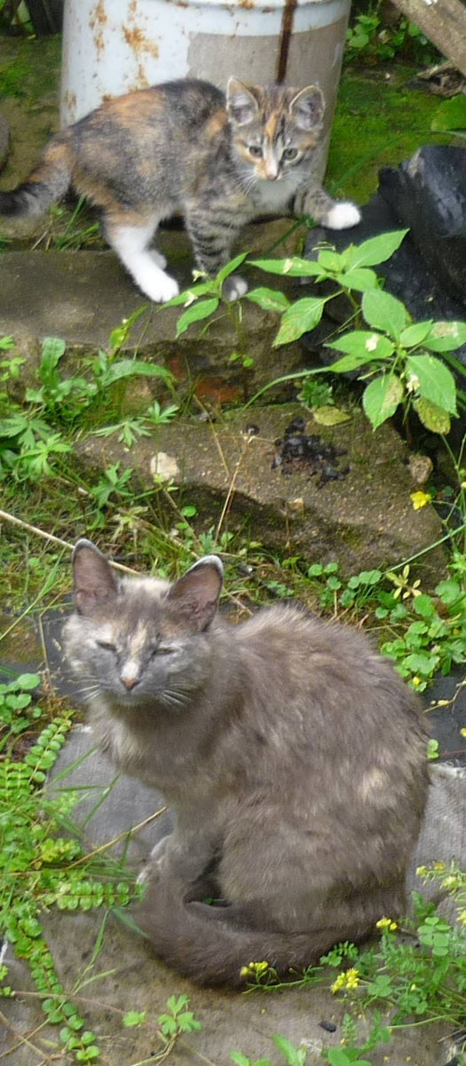 Фотографии и сканы прошлых лет. | Катерина Большова | Дзен