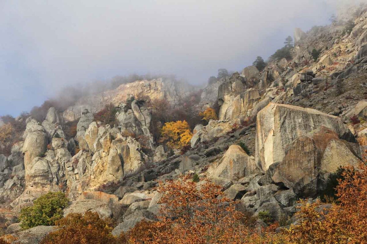 Фото: Александр Кустовский 