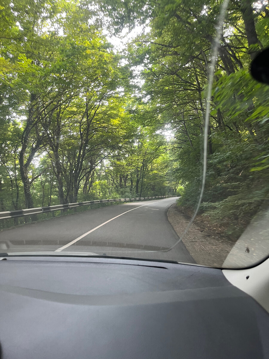 Дорога в Шапсугскую очень живописная. Попросила мужа ехать помедленнее , чтоб была возможность любоваться пейзажем за окном. 