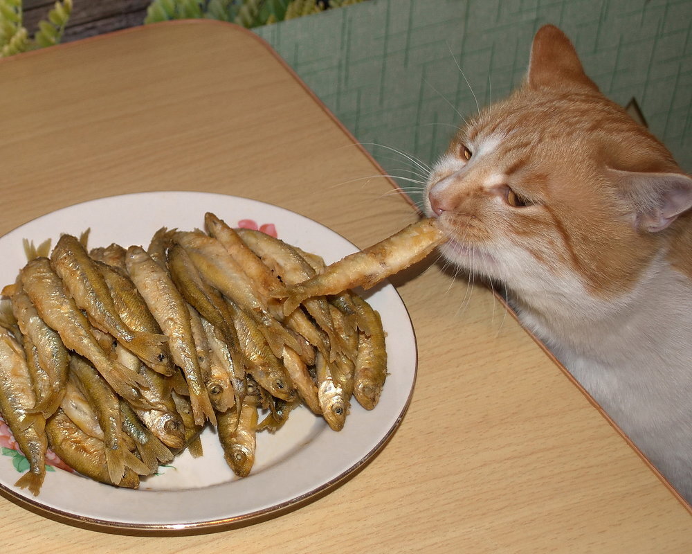 Источник: Яндекс картинки